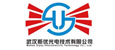 武漢斯優(yōu)光電技術(shù)有限公司